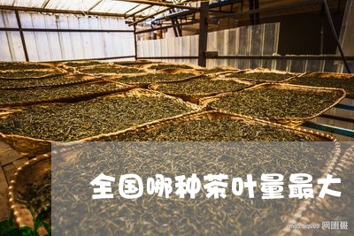 全国哪种茶叶量最大/2023042573039