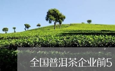 全国普洱茶企业前50强/2023122072625