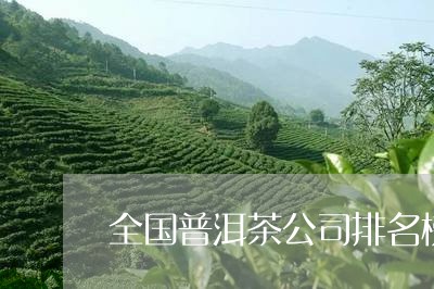 全国普洱茶公司排名榜前十名/2023052855857