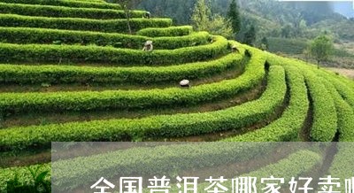 全国普洱茶哪家好卖啊价格/2023112484916