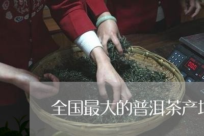 全国最大的普洱茶产地/2023080206283