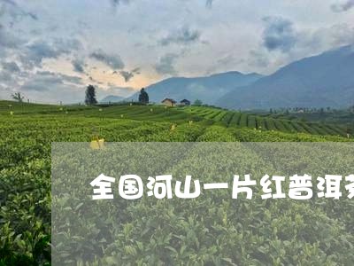 全国河山一片红普洱茶/2023061540526