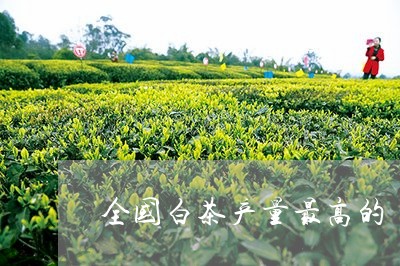 全国白茶产量最高的/2023121740473