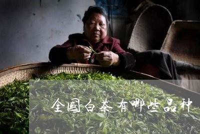 全国白茶有哪些品种/2023121750503