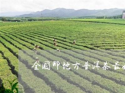 全国那地方普洱茶最好/2023080265047