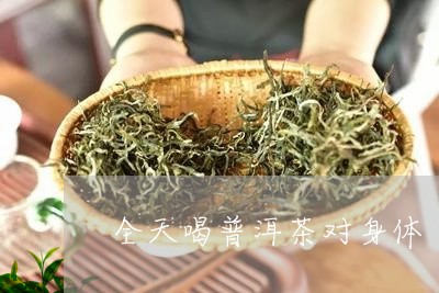 全天喝普洱茶对身体/2023120554949