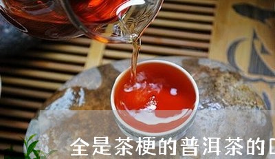 全是茶梗的普洱茶的口感/2023110151602