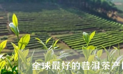 全球最好的普洱茶产区/2023080129360