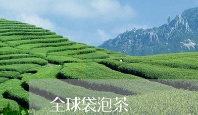 全球袋泡茶/2023090205269