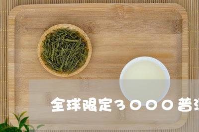 全球限定3000普洱茶/2023120732584