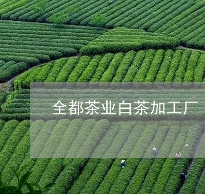 全都茶业白茶加工厂/2023081360491