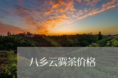 八乡云雾茶价格/2023050147876