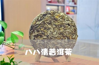 八八清普洱茶/2023042737298