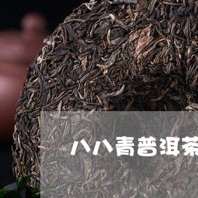 八八青普洱茶原料茶区/2023063002036