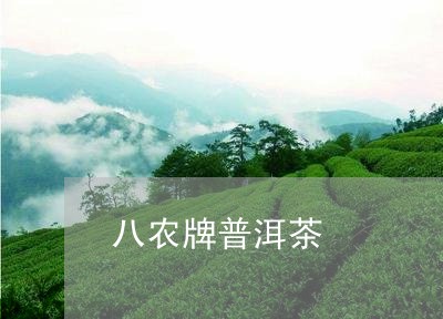 八农牌普洱茶/2023042587292