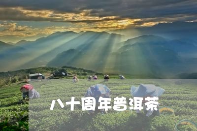 八十周年普洱茶/2023112676249