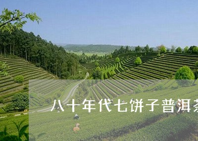 八十年代七饼子普洱茶/2023061518393