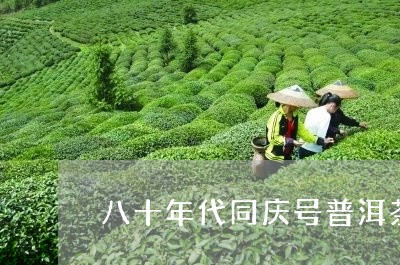 八十年代同庆号普洱茶/2023072247381