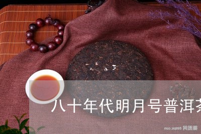 八十年代明月号普洱茶/2023061562946