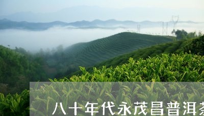 八十年代永茂昌普洱茶/2023063068705