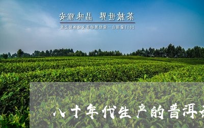 八十年代生产的普洱茶/2023061517269