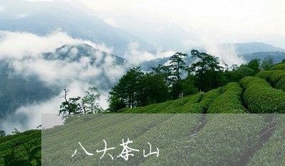 八大茶山/2023110854040