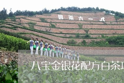 八宝金银花配方白茶功效/2023101306837