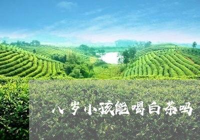 八岁小孩能喝白茶吗/2023121746269