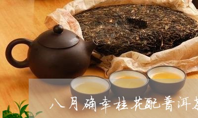 八月确幸桂花配普洱茶/2023080733604