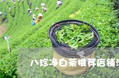 八珍净白茶推荐店铺淘宝/2023101339793