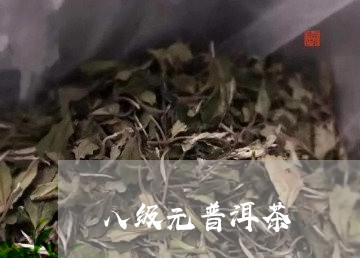 八级元普洱茶/2023090641493