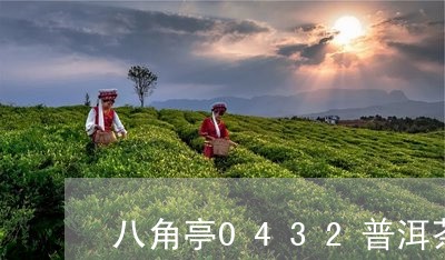 八角亭0432普洱茶价07年/2023053089491