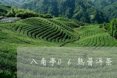 八角亭06熟普洱茶/2023070958370