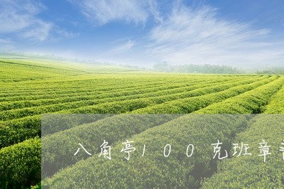 八角亭100克班章普洱茶/2023110210627