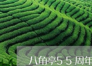 八角亭55周年普洱茶/2023061407040