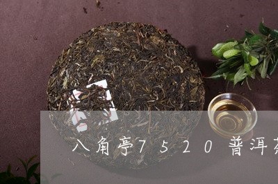 八角亭7520普洱茶/2023061606179