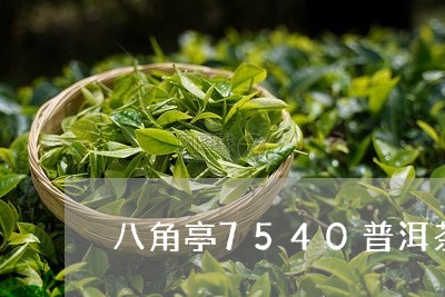 八角亭7540普洱茶/2023092743713