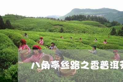 八角亭丝路之香普洱茶/2023061469504