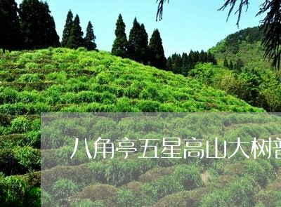 八角亭五星高山大树普洱茶/2023082505038