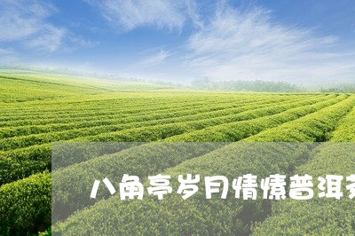 八角亭岁月情愫普洱茶/2023061556328