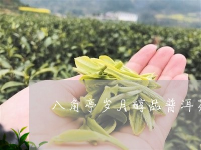 八角亭岁月醇品普洱茶/2023061545949