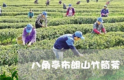 八角亭布朗山竹筒茶/2023042250492