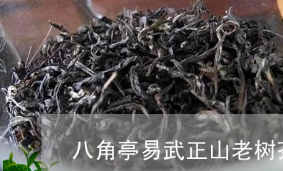 八角亭易武正山老树茶怎么样/2023052737372