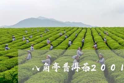 八角亭普洱茶2001/2023072262615