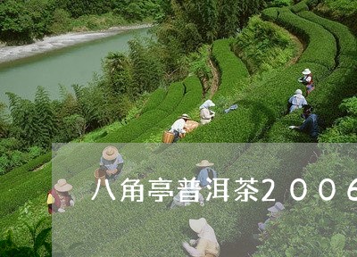 八角亭普洱茶2006/2023061649583