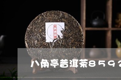 八角亭普洱茶8592/2023092942726