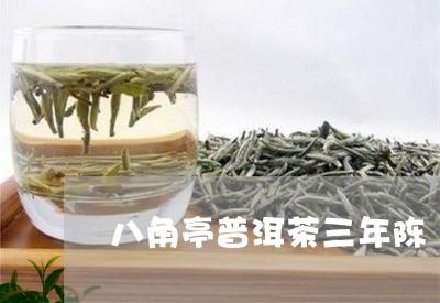 八角亭普洱茶三年陈/2023042856949