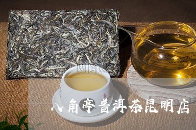 八角亭普洱茶昆明店/2023110933061