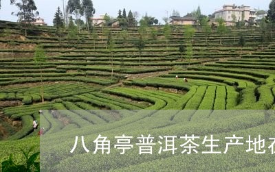 八角亭普洱茶生产地在哪里/2024010412625