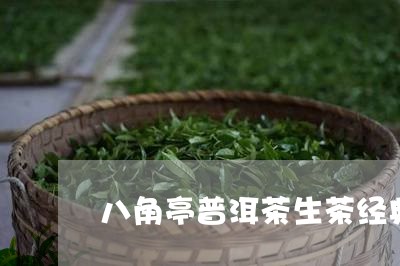 八角亭普洱茶生茶经典/2023092602712